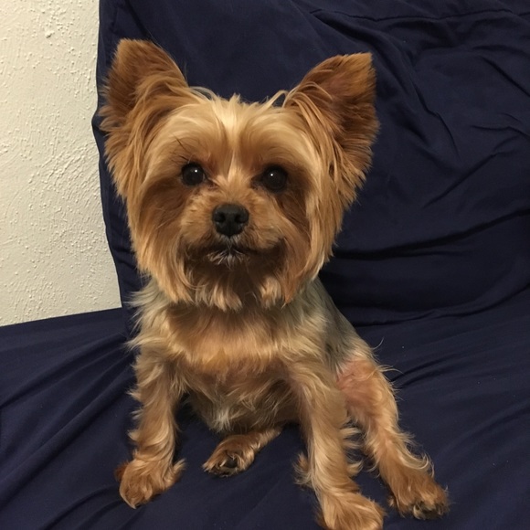 Meet your Posher, Debi - Picture 7 of 12